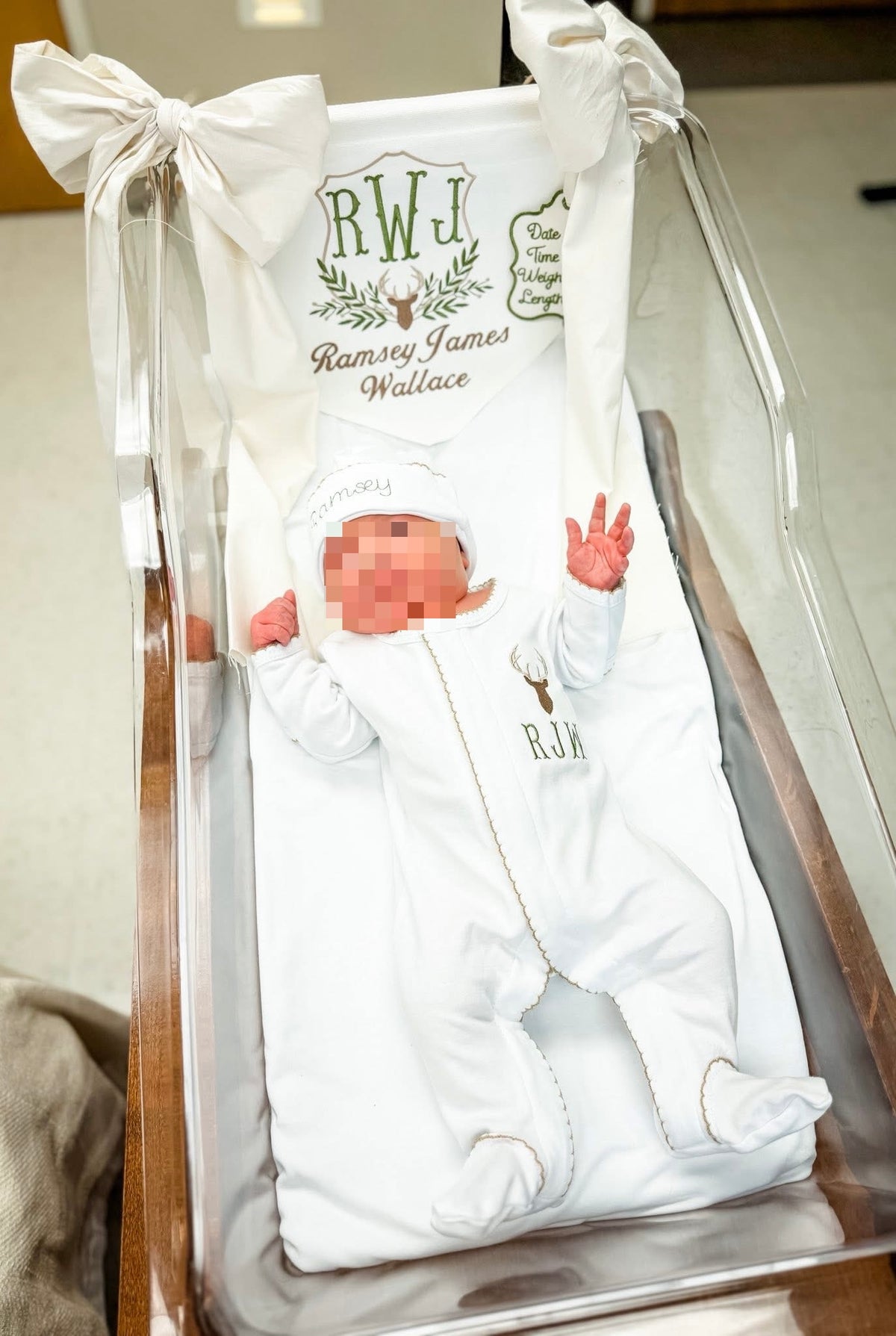 Deluxe Baby Banner